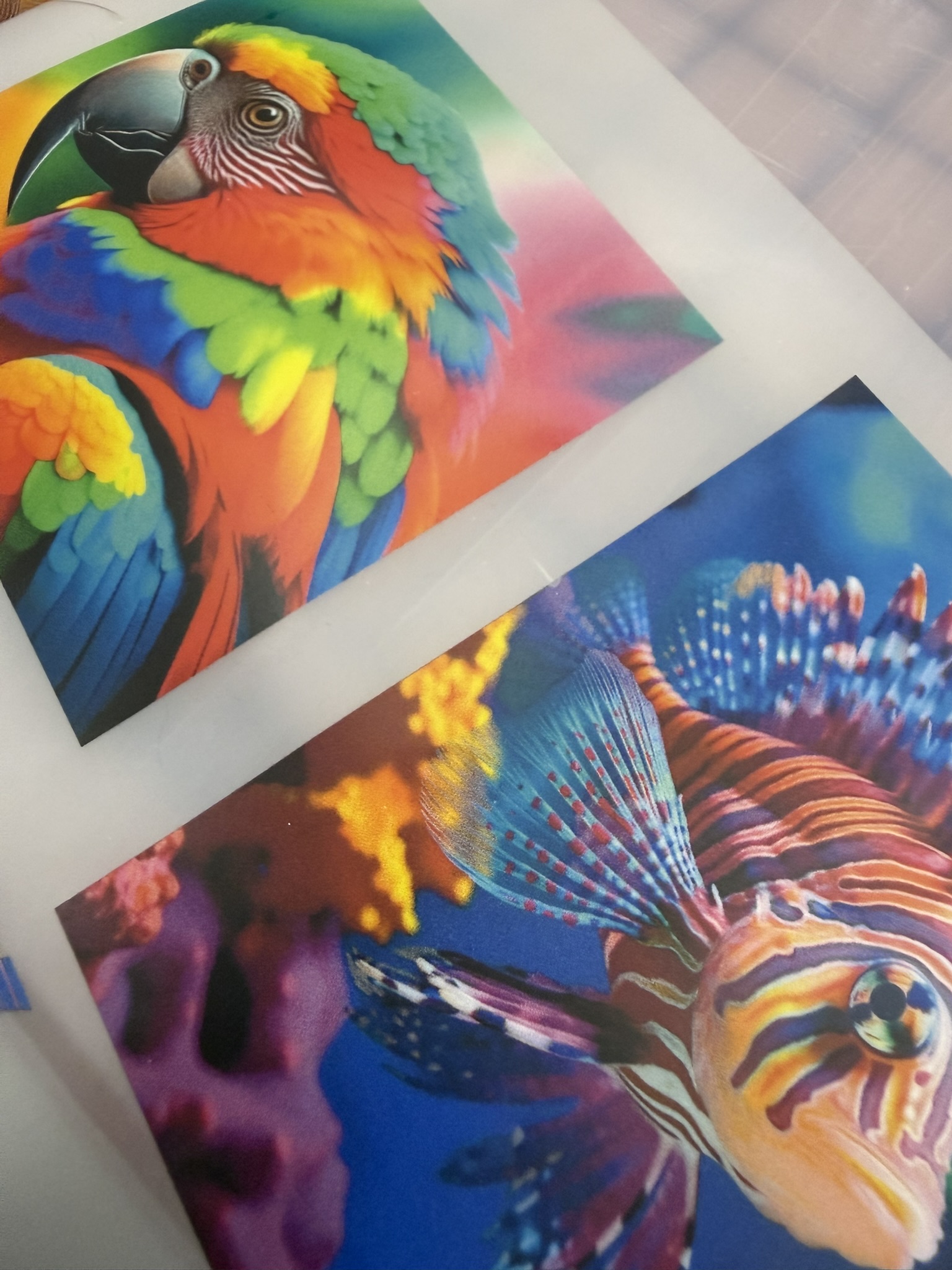 Vibrant parrot and tropical fish print samples